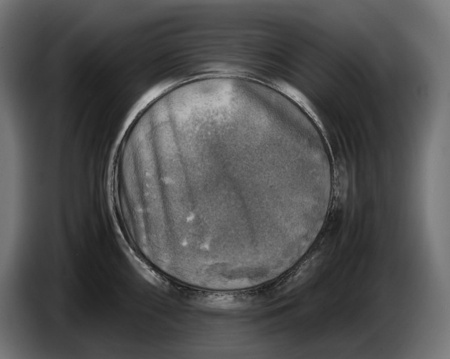 X0000086761098200705041443