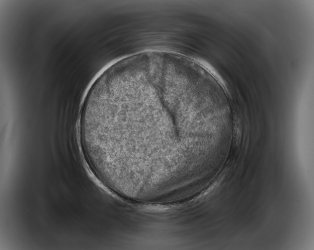 X0000086761100200705041443