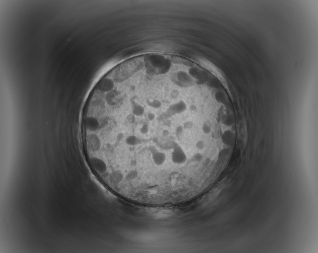 X0000086761103200705041443