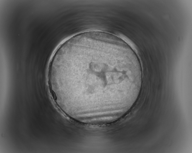 X0000086761104200705041443