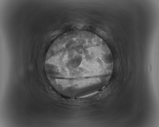 X0000086761105200705041442