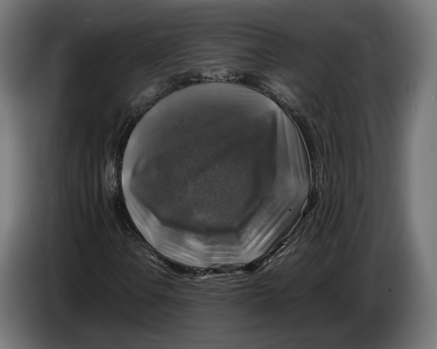 X0000086761106200705041442