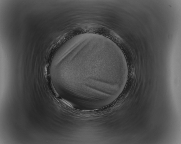 X0000086761108200705041442