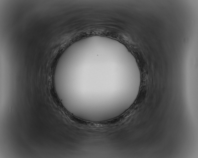 X0000086761109200705041442