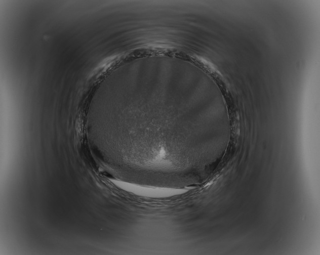 X0000086761110200705041442