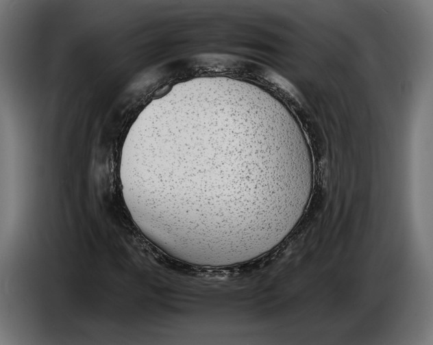 X0000086761111200705041442