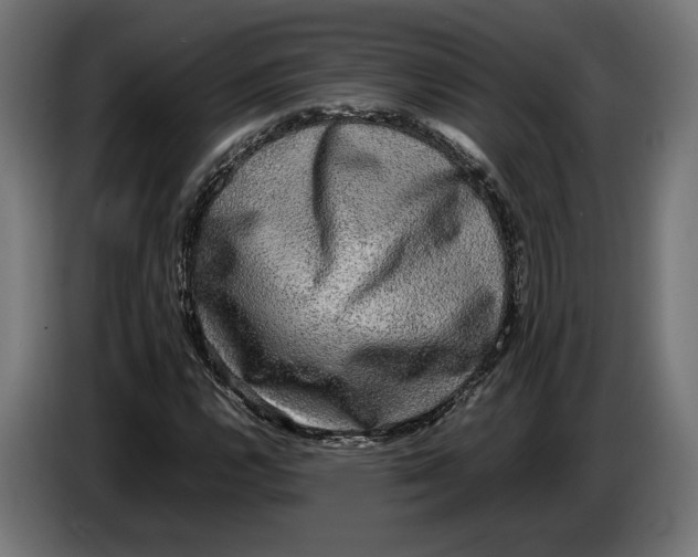 X0000086761112200705041442