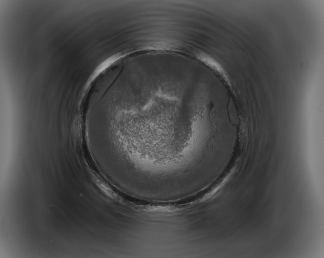 X0000086761114200705041442