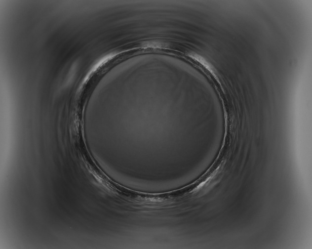 X0000086761115200705041442