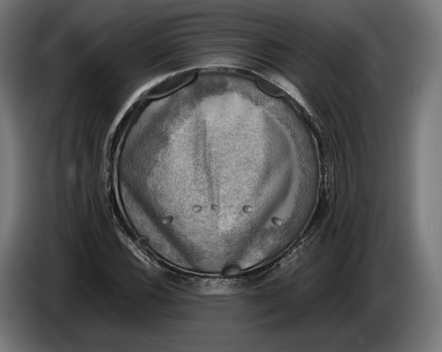 X0000086761116200705041442