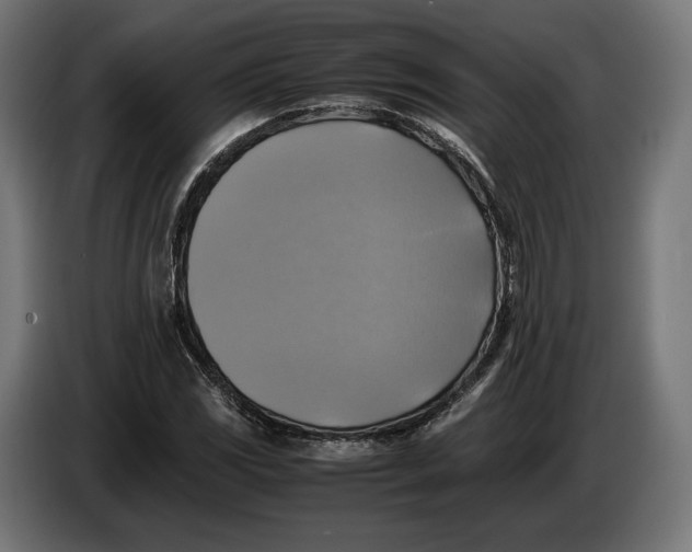 X0000086761117200705041442