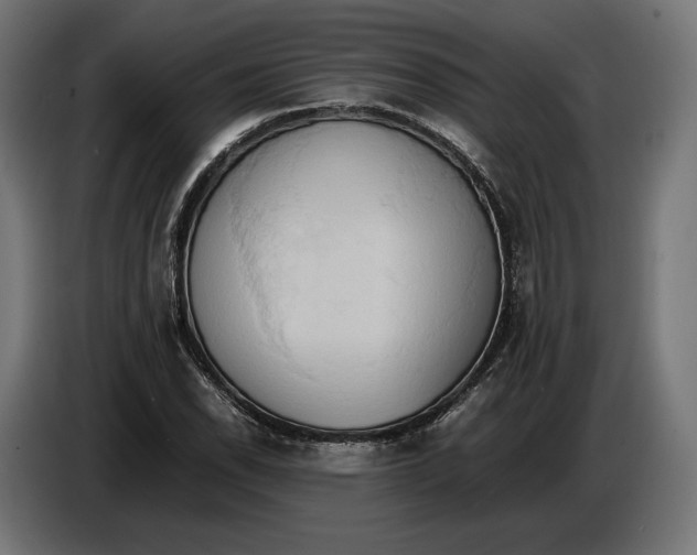 X0000086761118200705041442