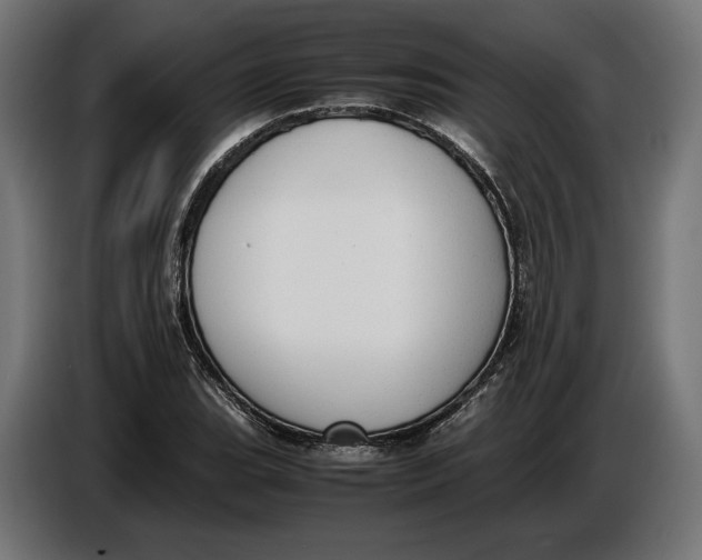 X0000086761119200705041442