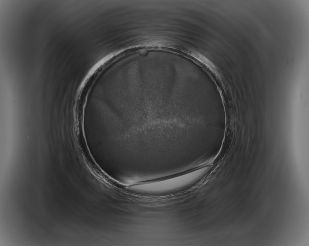 X0000086761120200705041443