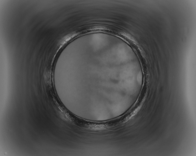 X0000086761121200705041443