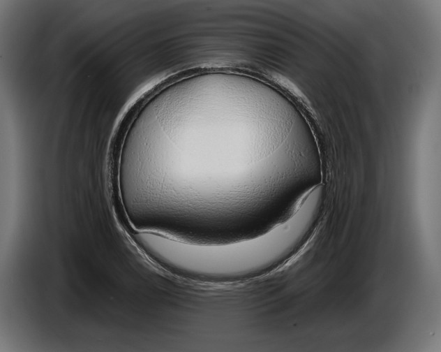 X0000086761122200705041443