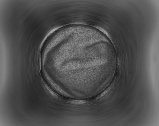 X0000086761123200705041443