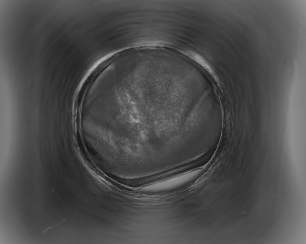 X0000086761124200705041443