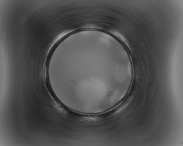 X0000086761125200705041443