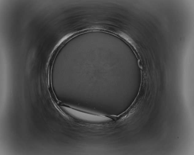 X0000086761127200705041443