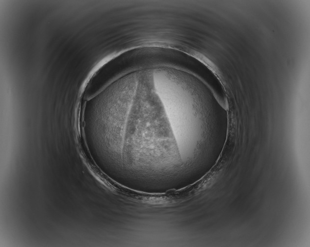 X0000086761128200705041443