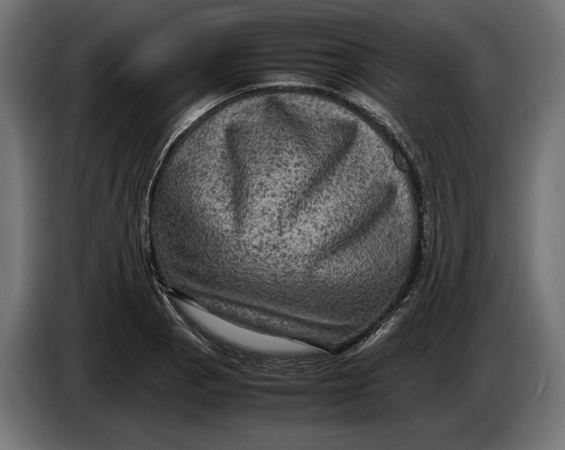 X0000086761129200705041443