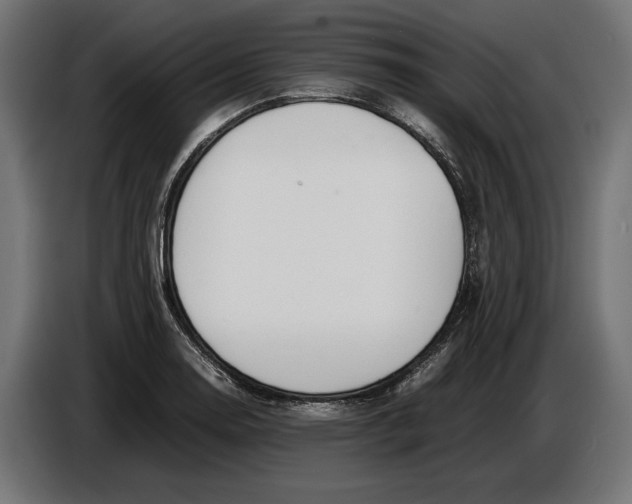 X0000086761130200705041443