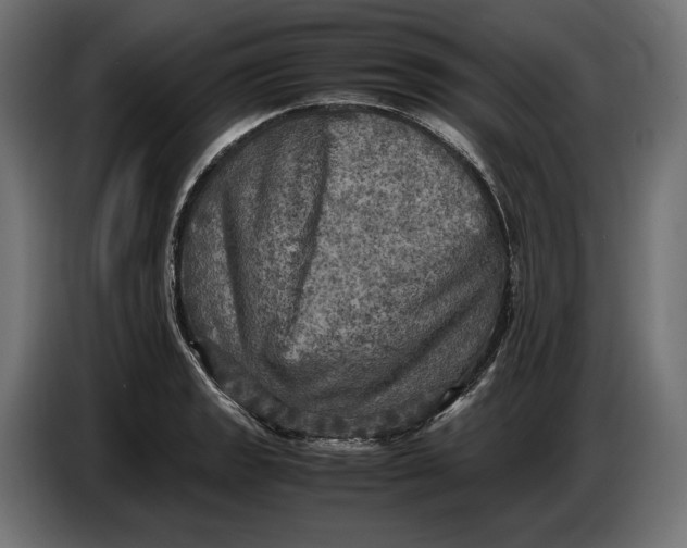 X0000086761133200705041443