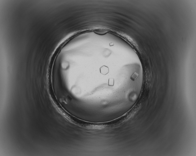 X0000086761134200705041443