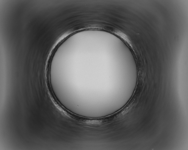 X0000086761135200705041443