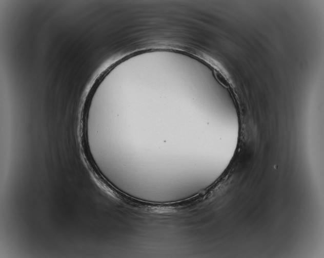 X0000086761136200705041443