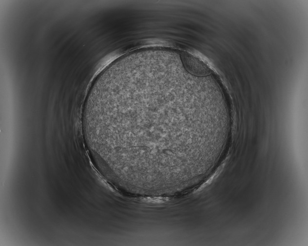 X0000086761137200705041443