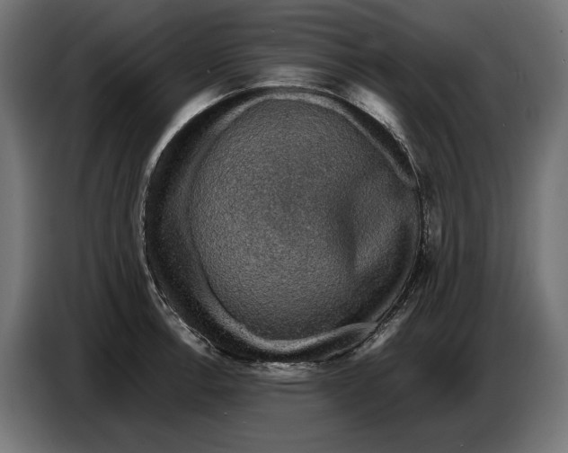 X0000086761138200705041443