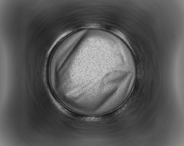 X0000086761139200705041443