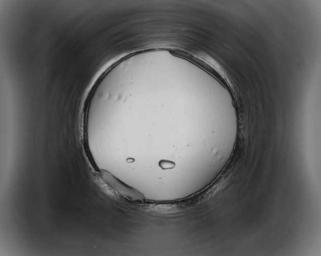 X0000086761140200705041443