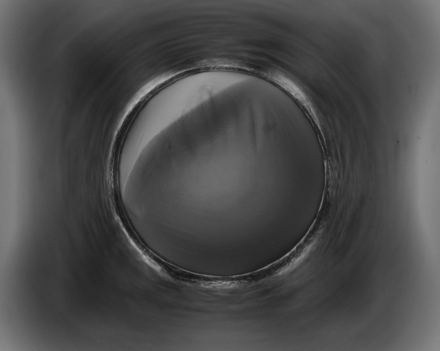 X0000086761141200705041443