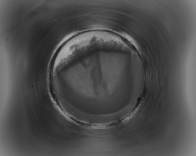 X0000086761142200705041443