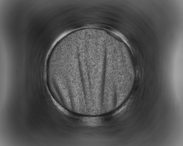 X0000086761143200705041443