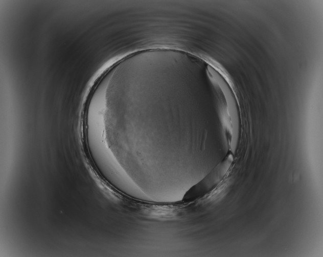 X0000086761144200705041443