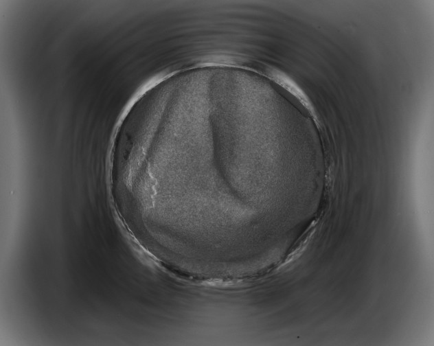 X0000086761146200705041443