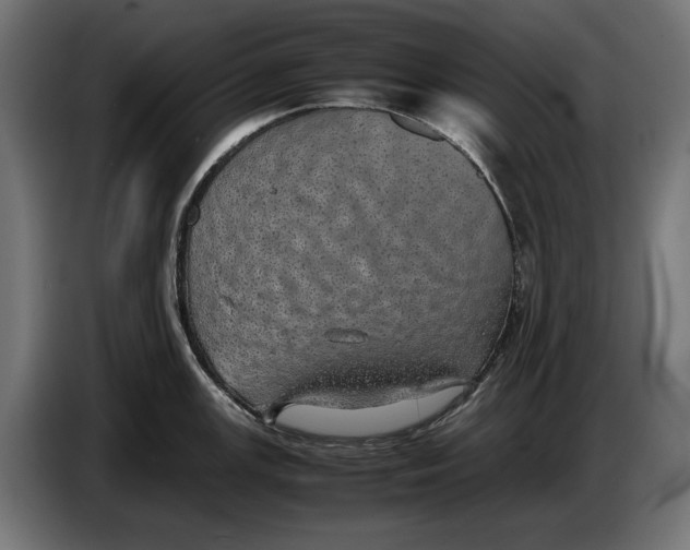 X0000086761147200705041443