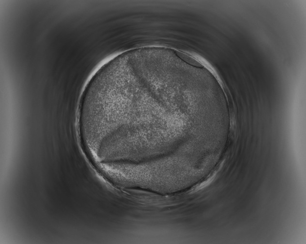 X0000086761149200705041443