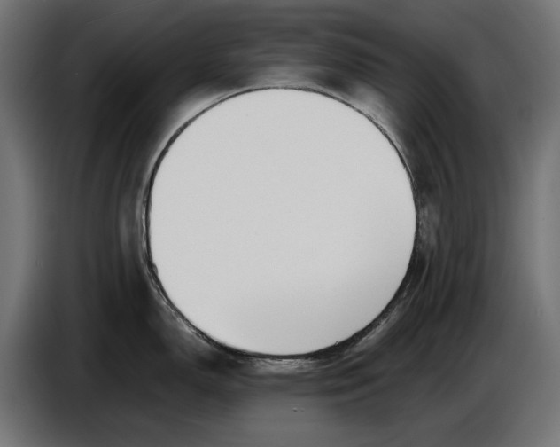 X0000086761150200705041443