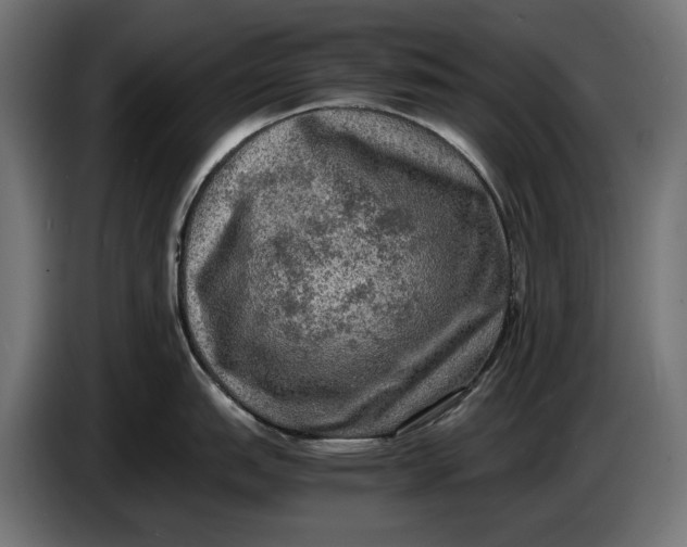 X0000086761151200705041443