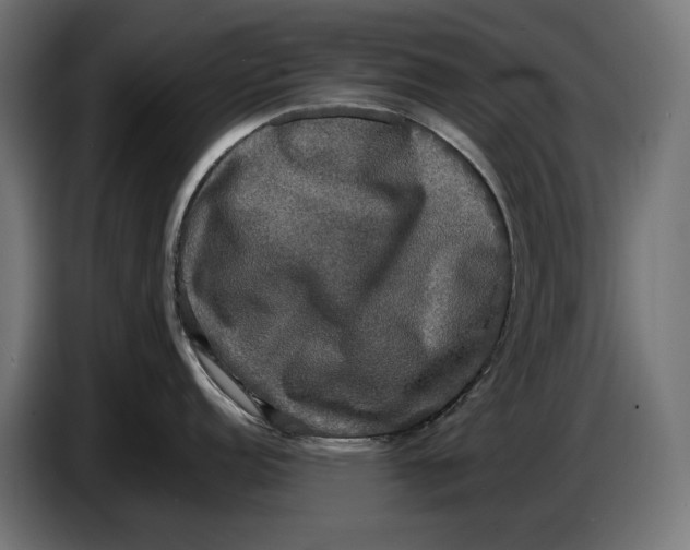 X0000086761152200705041443