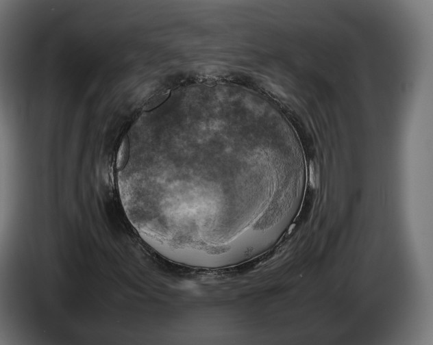 X0000086761155200705041442