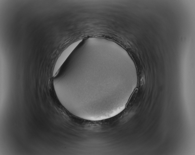 X0000086761156200705041442