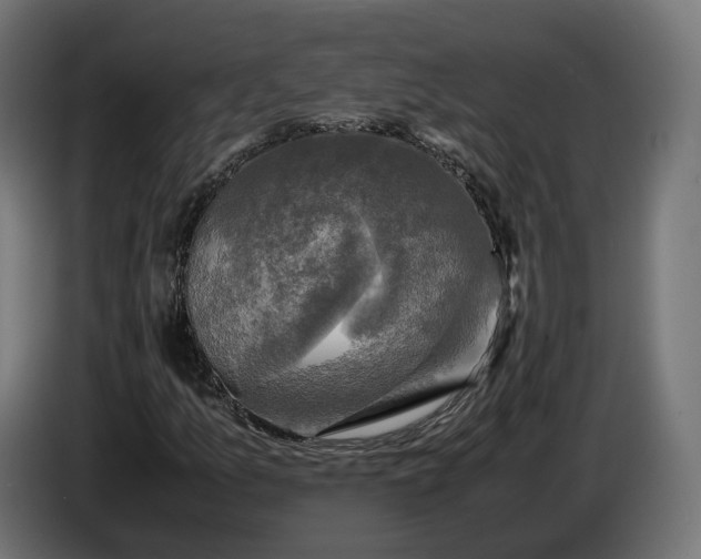 X0000086761157200705041442