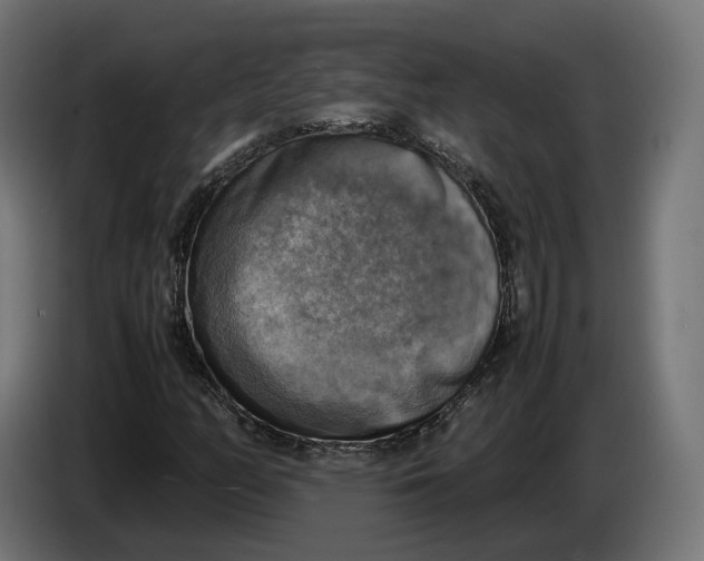 X0000086761158200705041442