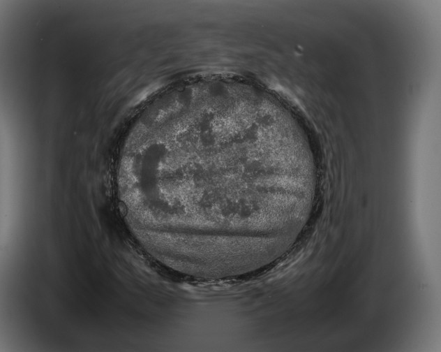 X0000086761159200705041442